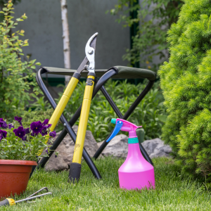 Lawn & Patio